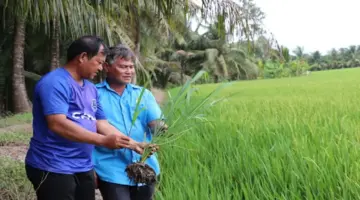 تقوية روابط سلسلة القيمة الزراعية